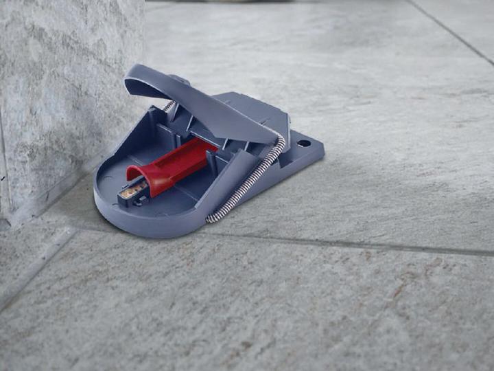 Produktbild Swissinno SuperCat