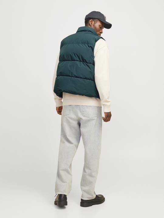 Immagine prodotto Jack & Jones Jjebradley Bodywarmer Sn (S)