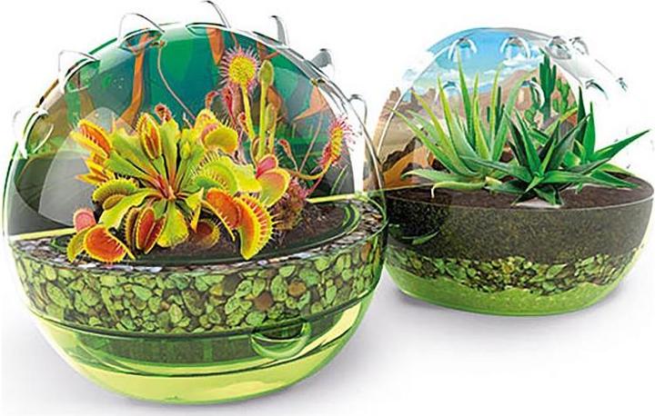 Actual product image Clementoni The world of carnivorous plants EN