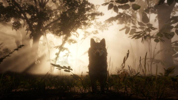 Image du produit Rockstar Red Dead Redemption 2 (PS4, EN)