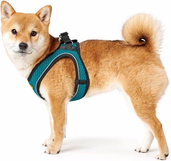 Immagine prodotto Hunter Imbracatura per cani Hilo Comfort (M, L, Cane, Generale)