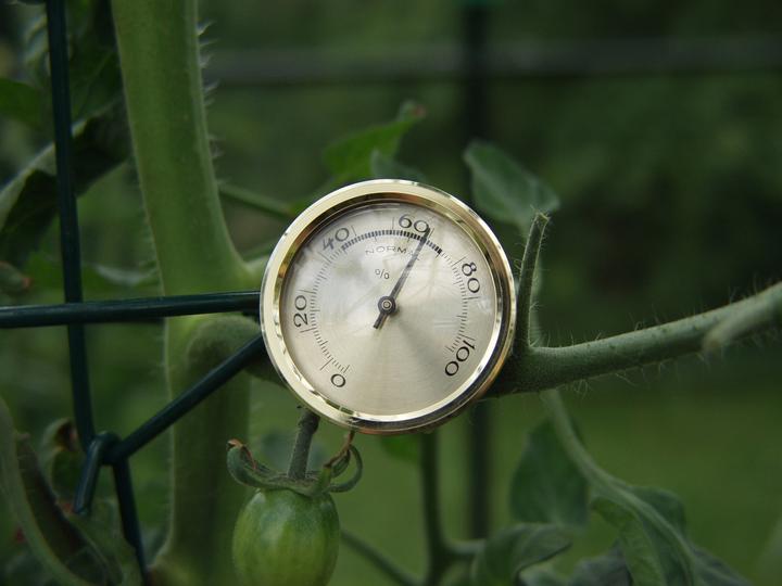 Produktbild Vitavia Hygrometer