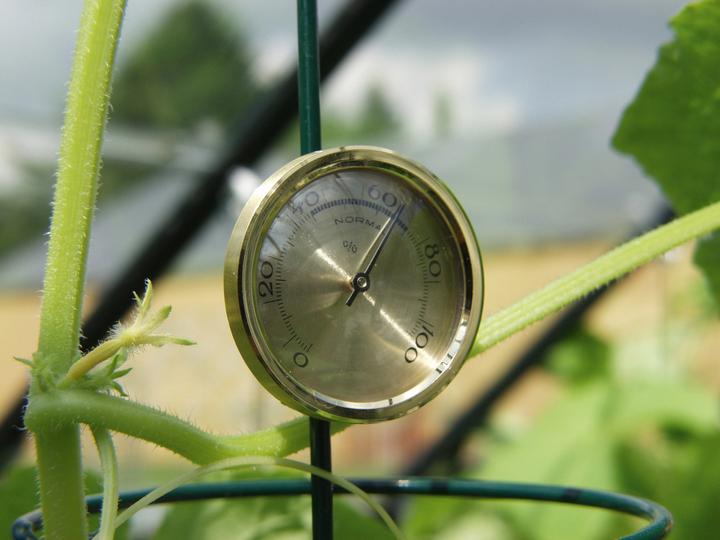 Produktbild Vitavia Hygrometer