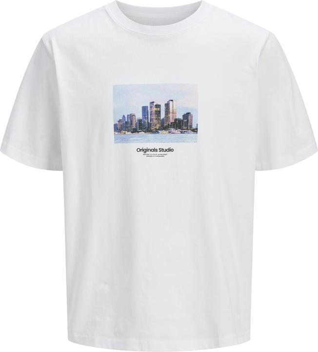 Jack & Jones Jorvesterbro Picture Tee Ss Crew Neck Sn