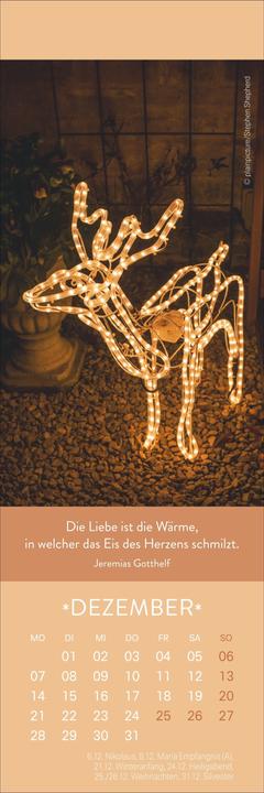 Actual product image Gute Gedanken Lesezeichen & Kalender 2026 (6 x 18 cm, Hardcover, German)