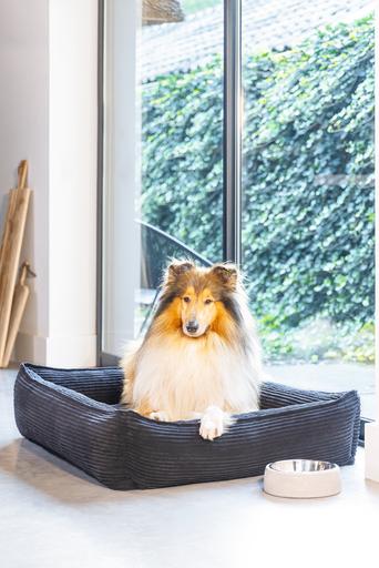 Produktbild Designed by Lotte Ribbed (Hund)