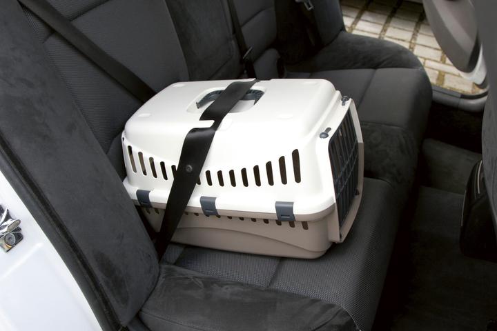 Produktbild Kerbl Transportbox Expedion (Katze, Hund, Abschliessbar)