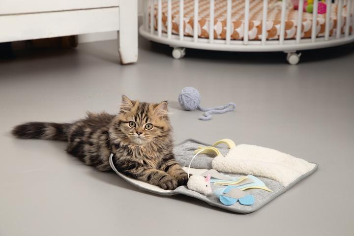 Actual product image Beeztees Kitten playground Weezy (Catmint toy)
