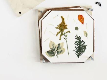 Produktbild Moulin Roty Blumenpresse (21 cm, 18 cm)