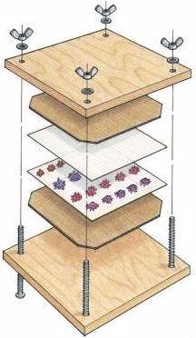 Produktbild Moulin Roty Blumenpresse (21 cm, 18 cm)