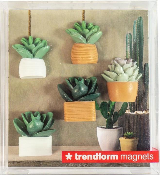 Immagine prodotto Trendform Cactus (5 x)