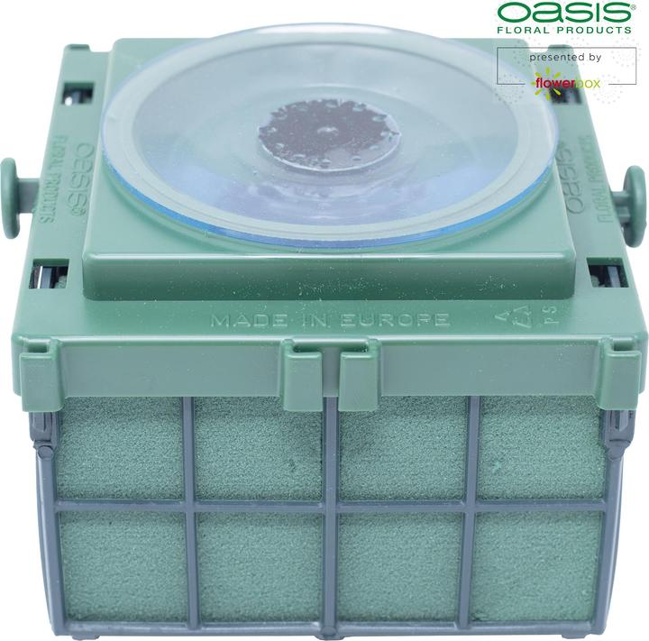 Immagine prodotto Oasis Auto-Corso