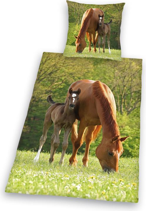 Actual product image Herding Horse with foal