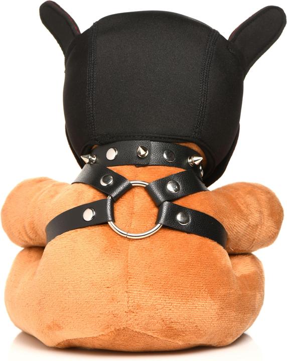 Image du produit Master Series XR Brands - Ours Masqué - Brun