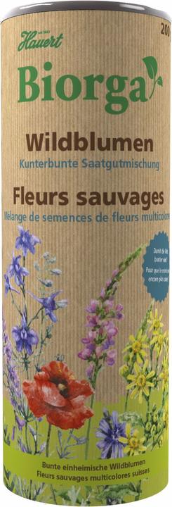 Hauert Fiori selvatici Miscela di semi colorati (Semi di fiori)