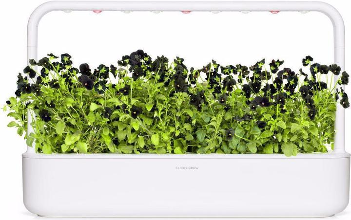 Image du produit Click and Grow Coussinets de plantes de pensées noires (Graines de fleurs)