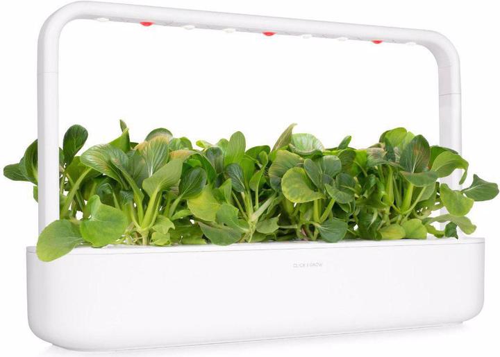 Produktbild Click and Grow Saatgut Pak Choi (Gemüsesamen)