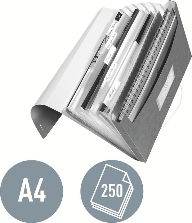 Actual product image Leitz WOW - Project folders (A4, 1 x)
