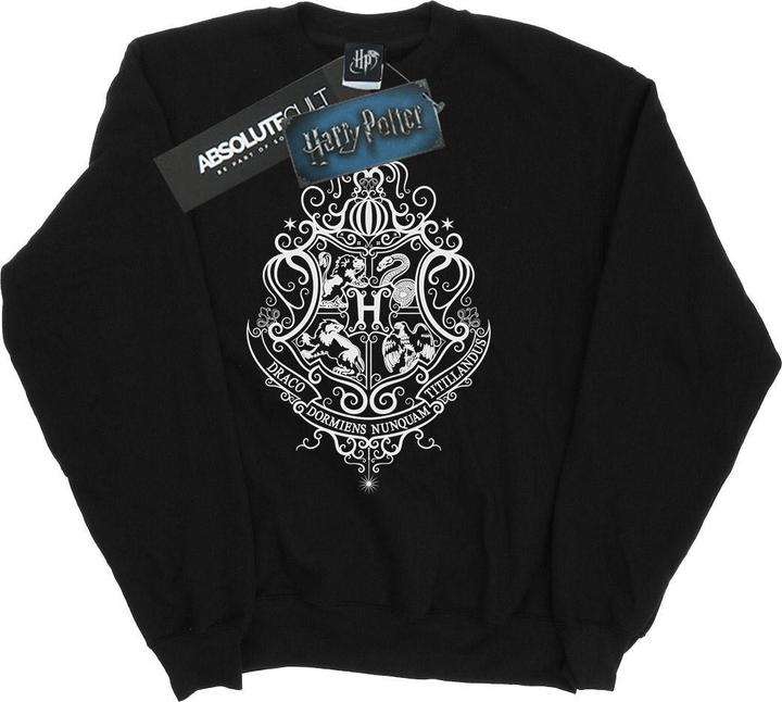 Immagine prodotto Hogwarts Draco Dormiens Crest Felpa Uomo (XL)