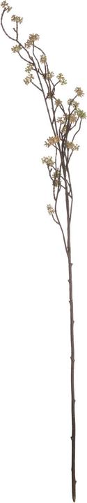 Immagine prodotto Hill Interiors Fiore artificiale (109 cm)