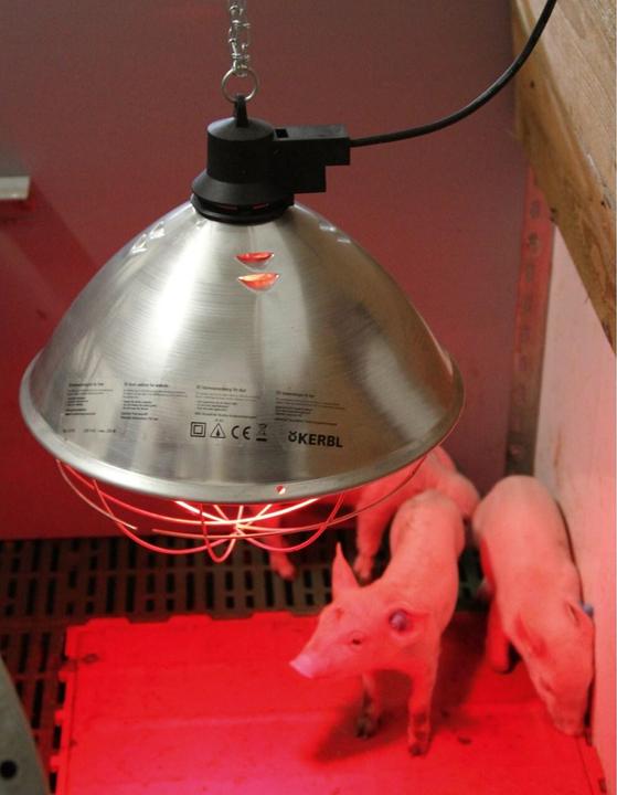 Actual product image Kerbl Infra-red radiant warmer