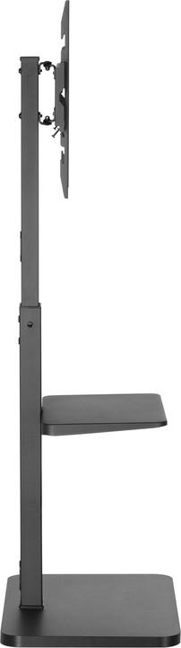 Produktbild equip Bodenständer (Universal, 75", 40 kg)