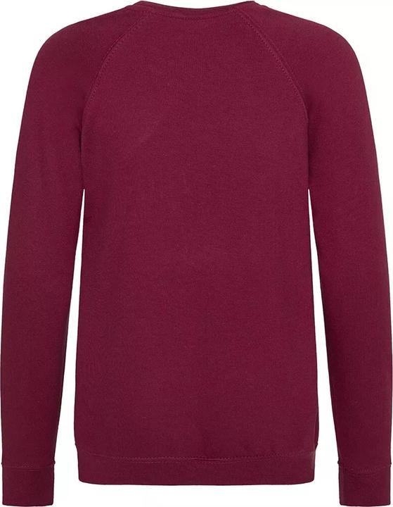 Actual product image Awdis Academy school sweatshirt round neck (pack of 2) (128)