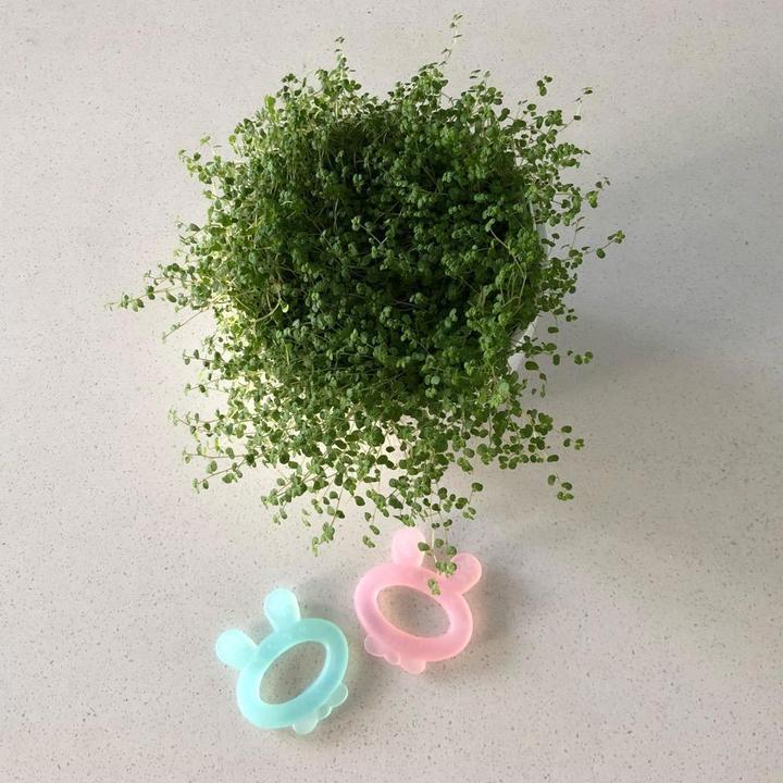 Actual product image Haakaa Teething Ring Rabbit Ear- Pink