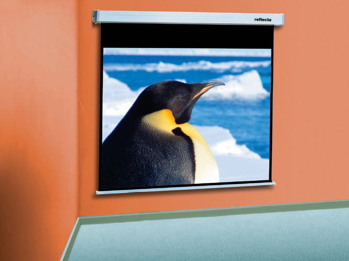 Actual product image Reflecta CrystalLine Motor Lux (114.96", 4:3)