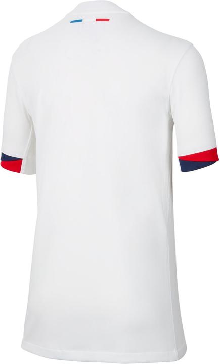 Image du produit Nike Paris Saint-Germain Enfants Maillot Extérieur (L)