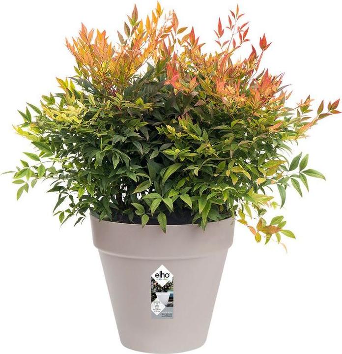 Actual product image Elho Loft Urban (19.30 cm)