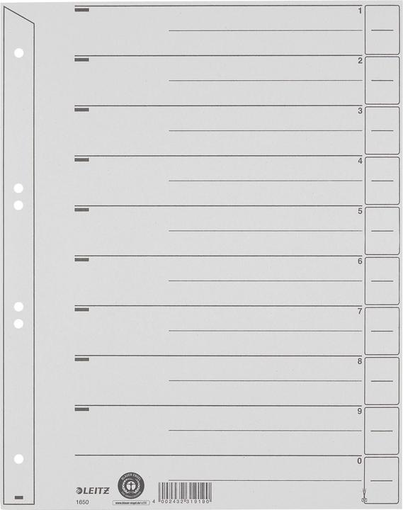Actual product image Leitz Dividers, A4 extra width, kraft cardboard 200g/sqm, gray Blank tabs can be used in different