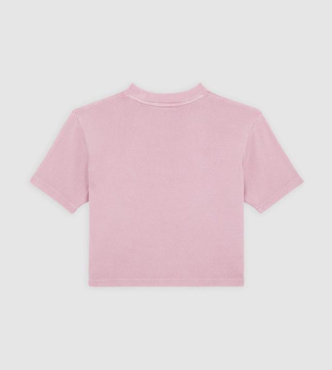Actual product image Dickies Plentywood Tee Ss W Lilas (S)