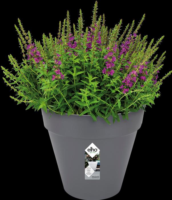 Produktbild Elho Loft Urban (24.50 cm)