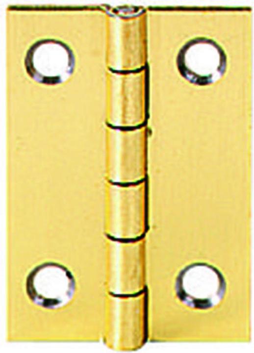 Image du produit Werkstarck Charnières de coffrets 30x20mm acier vermeil