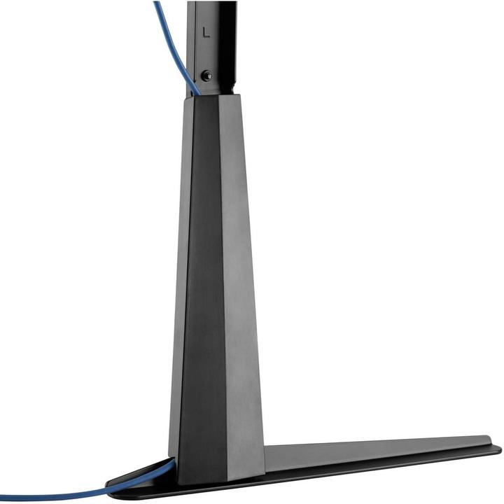 Actual product image myWall HP39L (Universal, 70", 50 kg)