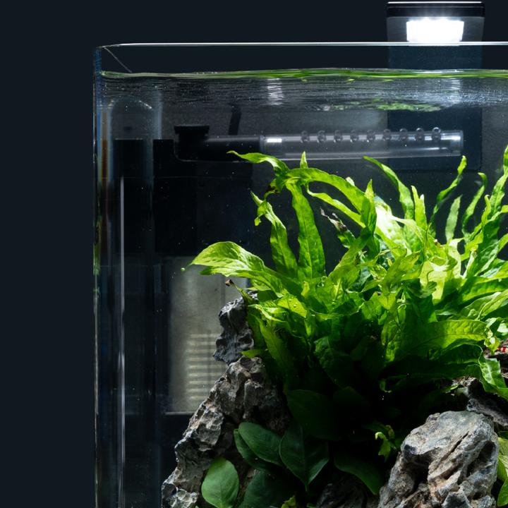 Image du produit Dennerle Nano-filtre en coin (40 l, Filtres internes, Eau douce)