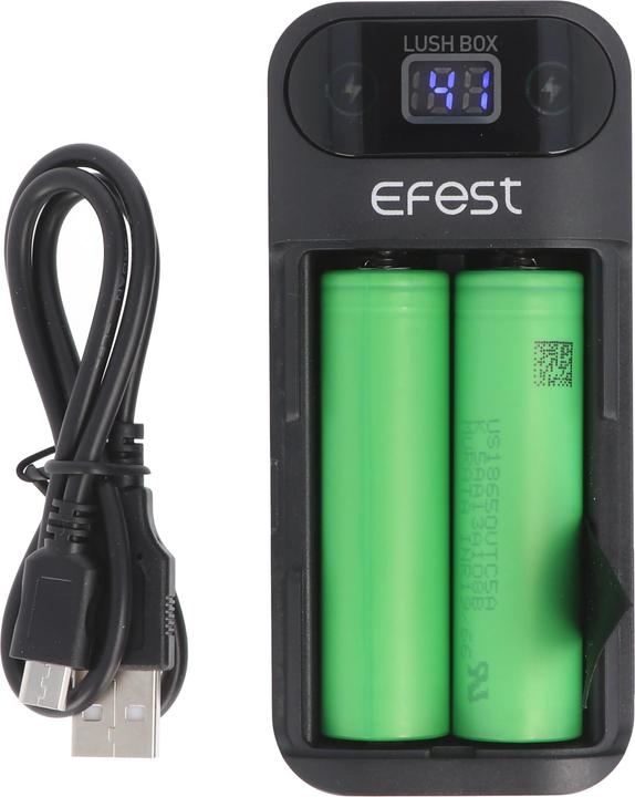 Actual product image Efest Powerbank and 18650 Li-ion charger for 18650 3.6V -3.7V Lithium Ion batteries, without batteries (1 pcs., 18650, Battery + charger)