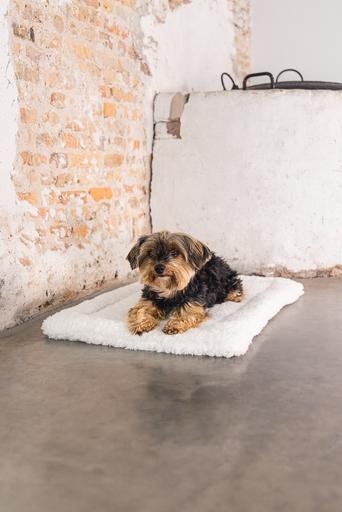Actual product image Designed by Lotte Ligra (Dog)