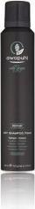 Actual product image Paul Mitchell Awapuhi Wild Ginger Dry Shampoo Foam (195 ml, Liquid shampoo)