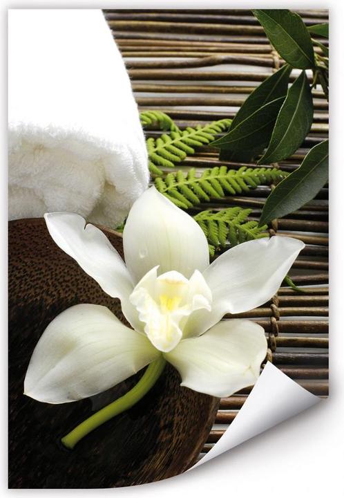 Image du produit Trenddeko Orchidée du bien-être (70 x 100 cm)