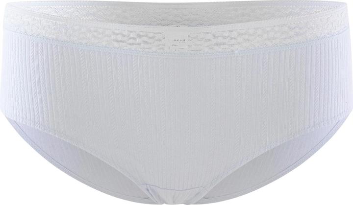 DIM Slip Cotton Lace