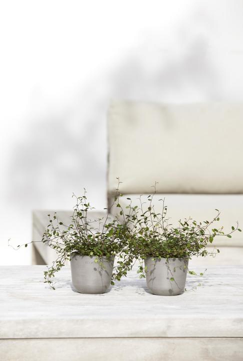 Image du produit Ecopots Oslo Mini (19 cm)