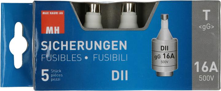 Produktbild Max Hauri Sicherung DT (16 A, Träge)