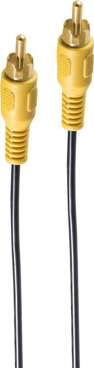 Shiverpeaks ®-BASIC-S--Cinch mâle à Cinch mâle, doré, 2,0m