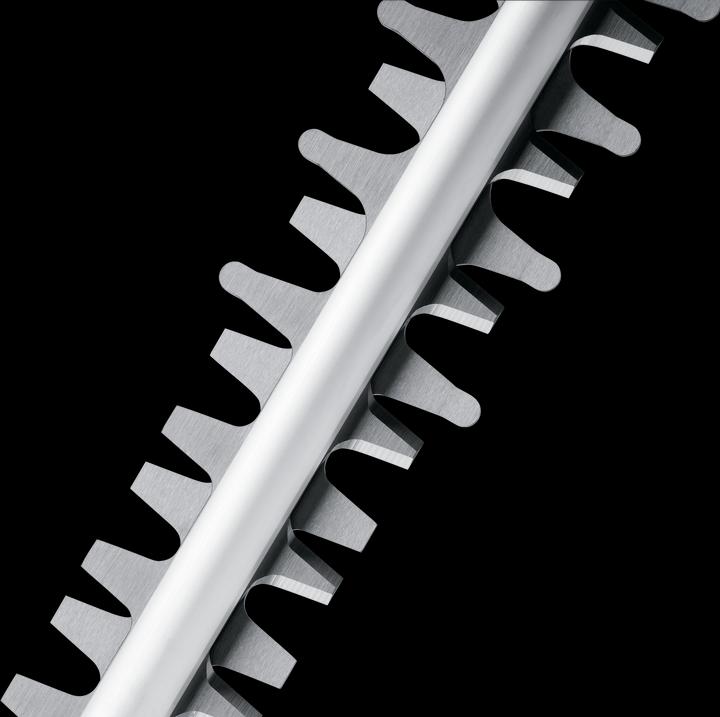 Actual product image Bosch Home & Garden AdvancedHedgeCut 65 (Electric hedge trimmer)