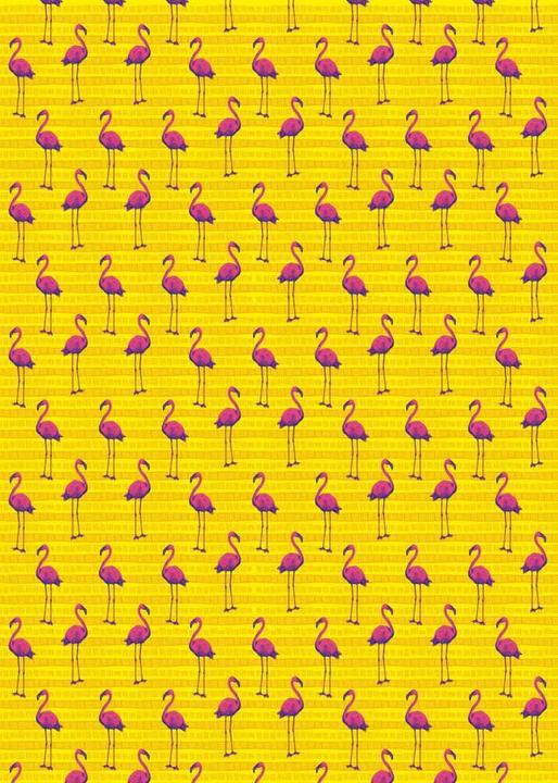 Image du produit Les animaux d'Afrique cahier de papier cadeau - motif flamant rose (Papier cadeau)