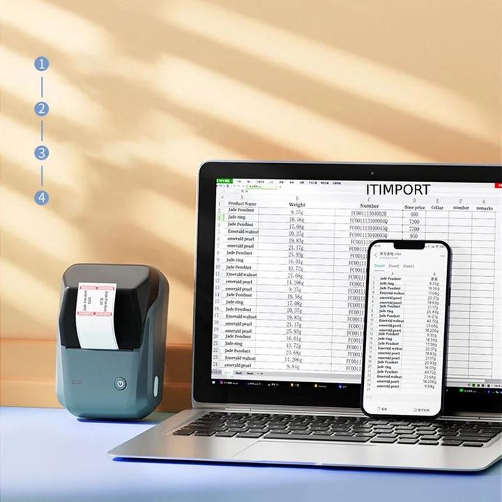 Image du produit Niimbot B1 (203 dpi)