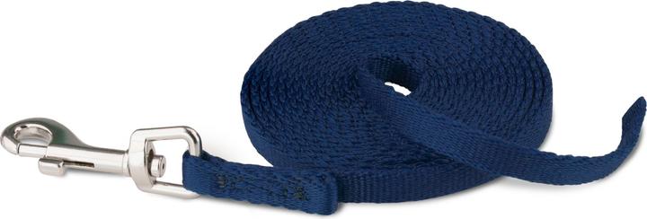 Actual product image Company of Animals Coachi drag line puppy (2.5, Dog, Dog sport)