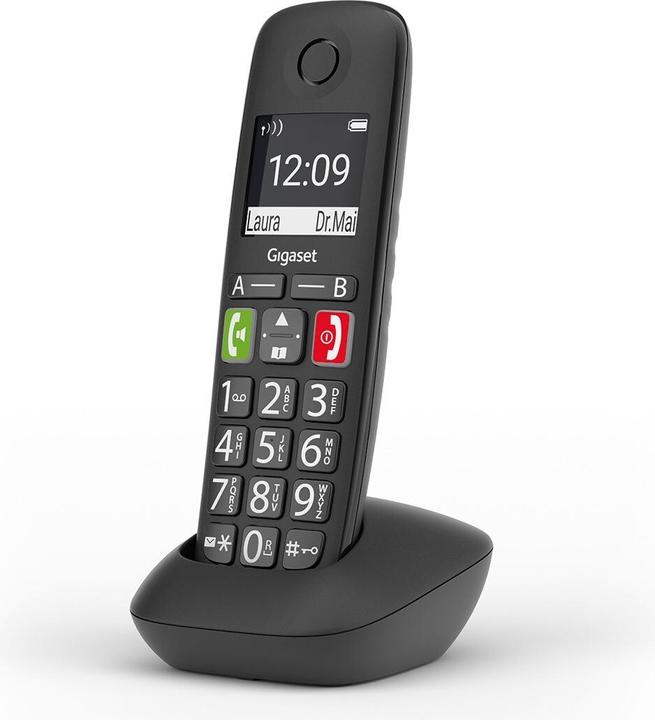 Gigaset E290HX